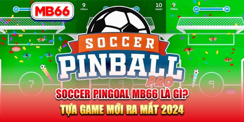 Soccer Pingoal